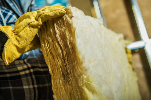 Best Commercial Insulation in Chesaning, MI